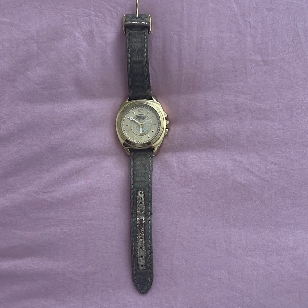 Coach Watch